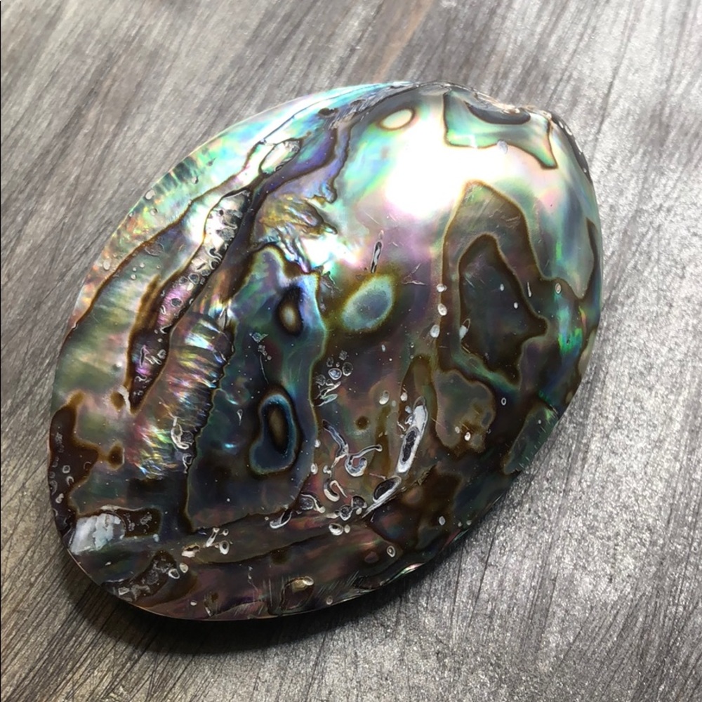 Mother of pearl abalone polished natural shell
